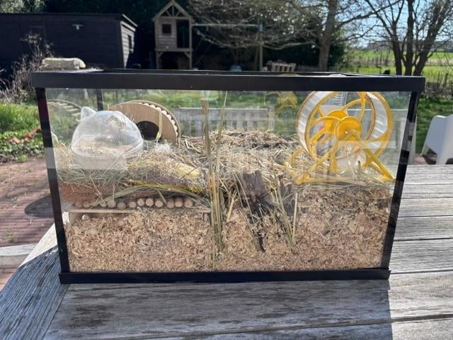Hamster terrarium, Gebruikt, Overige typen, Minder dan 75 cm, Muis