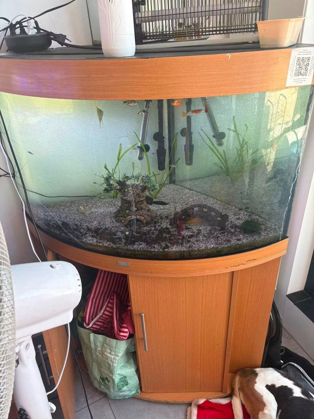 Aquarium, Enlèvement, Pompe, Comme neuf
