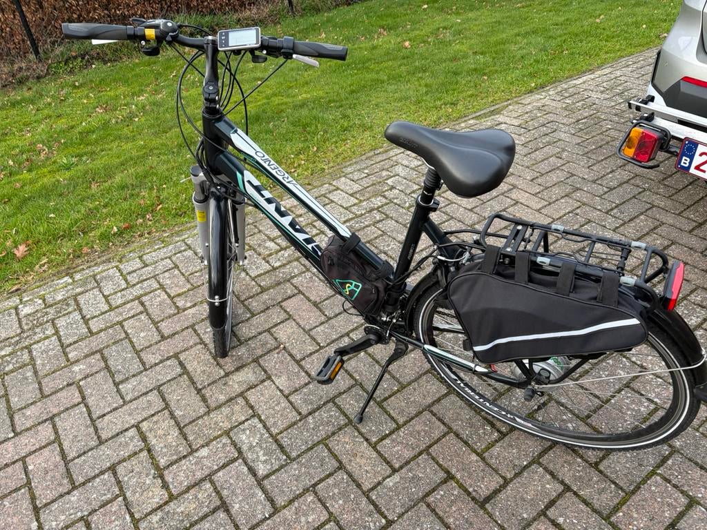 Giant elektrische fiets, Ophalen, Zo goed als nieuw, Giant