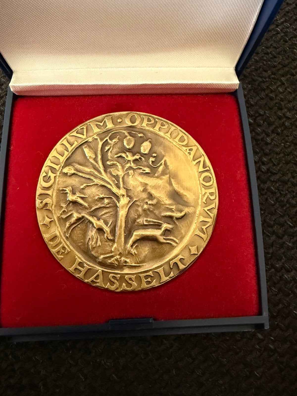Officiële Bronzen Stadsmedaille Hasselt, Ophalen of Verzenden, Brons