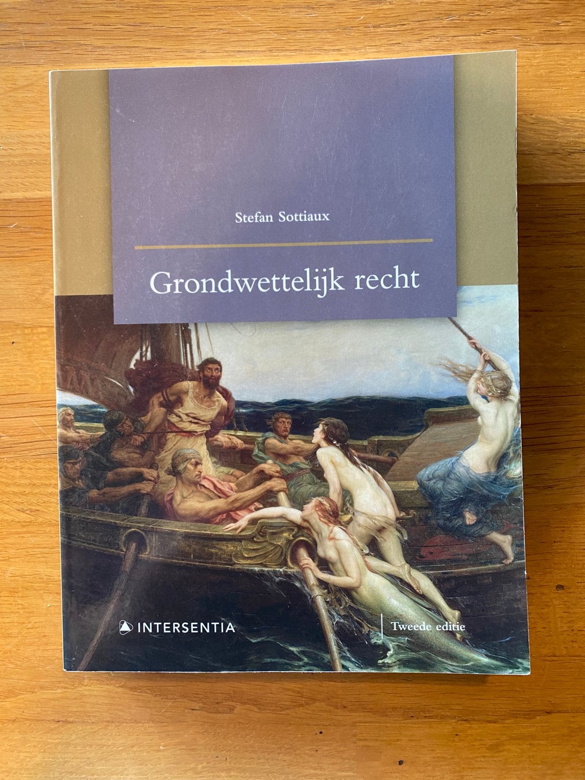 Stefan Sottiaux - Grondwettelijk recht (tweede editie), Ophalen, Overige wetenschappen, Zo goed als nieuw, Stefan Sottiaux