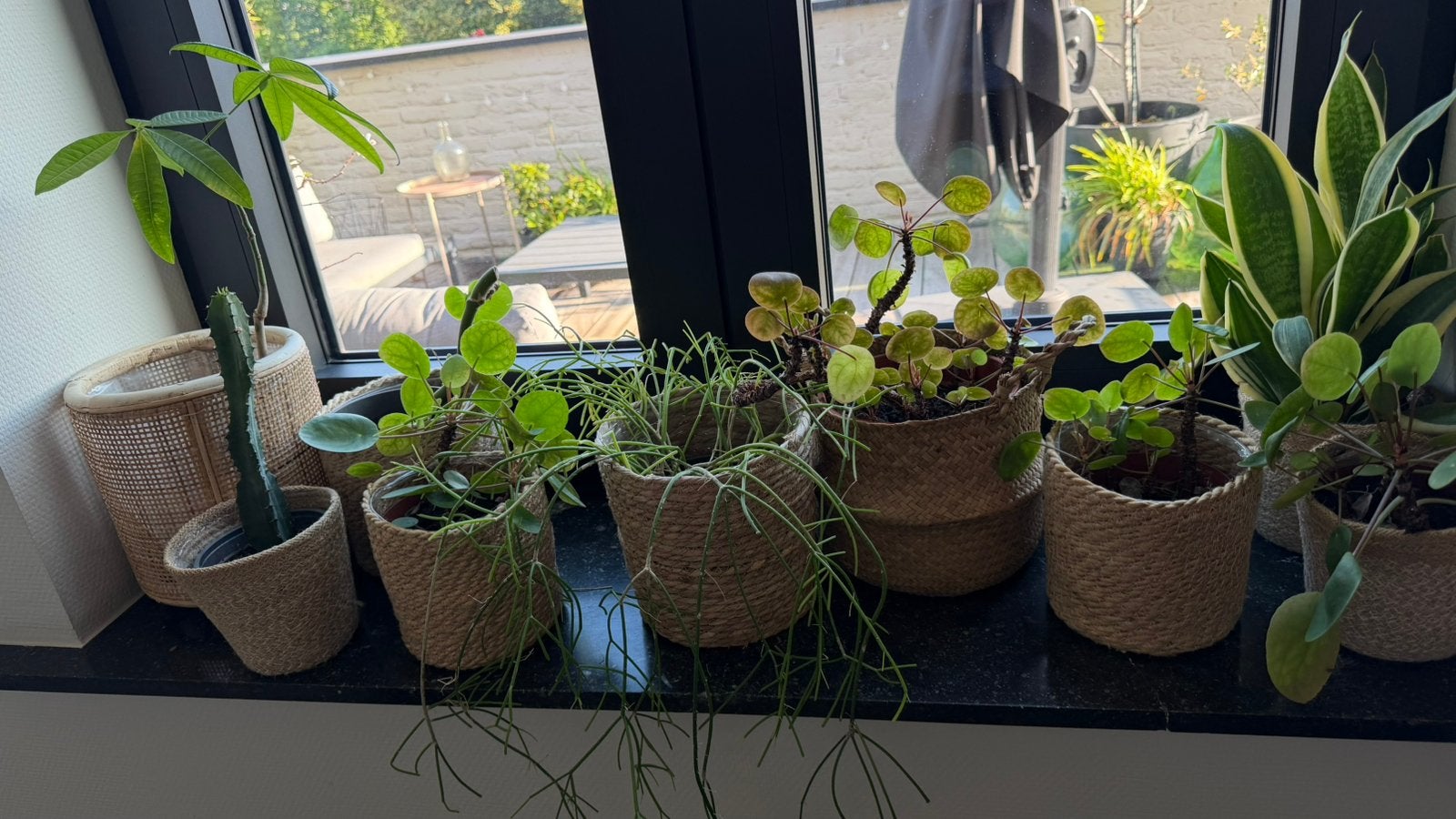 Planten met mandje, Tuin en Terras, Ophalen, Zo goed als nieuw