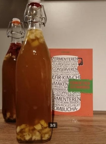 Kombucha Scoby, Ophalen of Verzenden