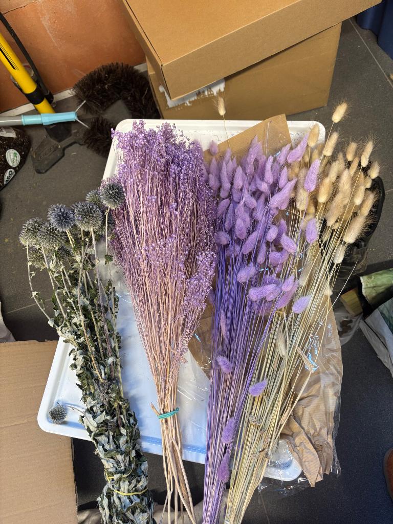 Droogbloemen, Huis en Inrichting, Woonaccessoires | Droogbloemen, Ophalen, Nieuw