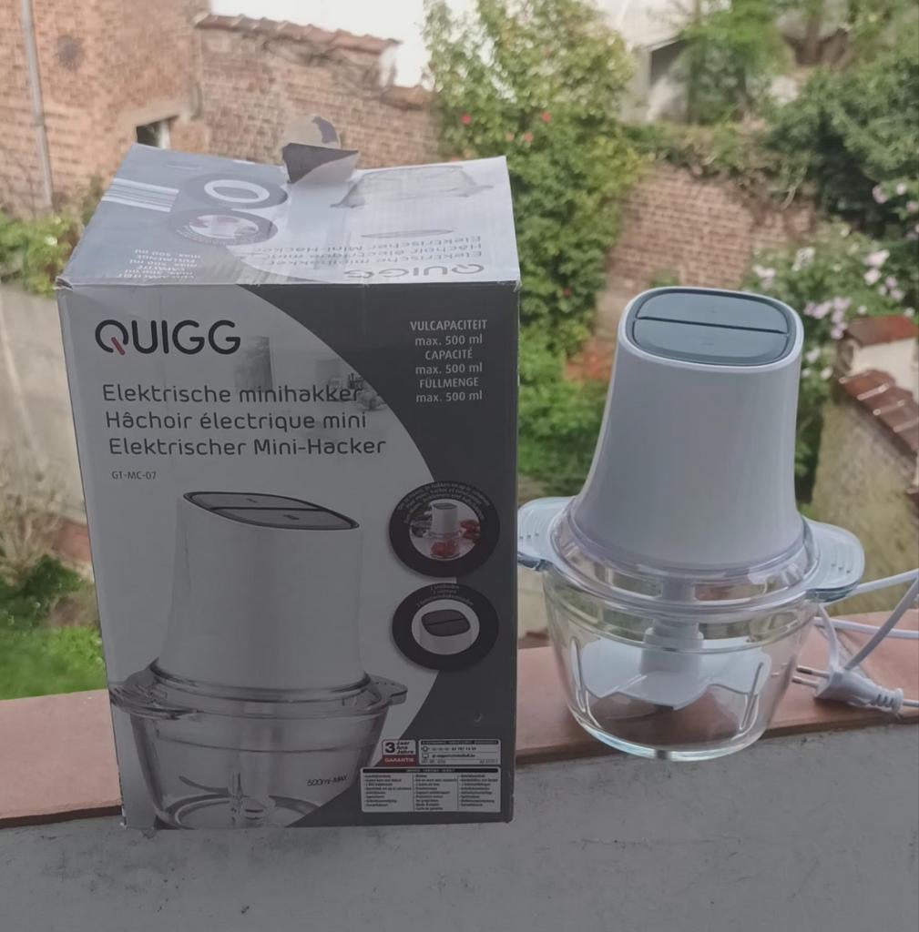 Mini-hachoir électrique Quigg (GT-MC-07) – État q, Verre, Autres marques, Autres types, Enlèvement