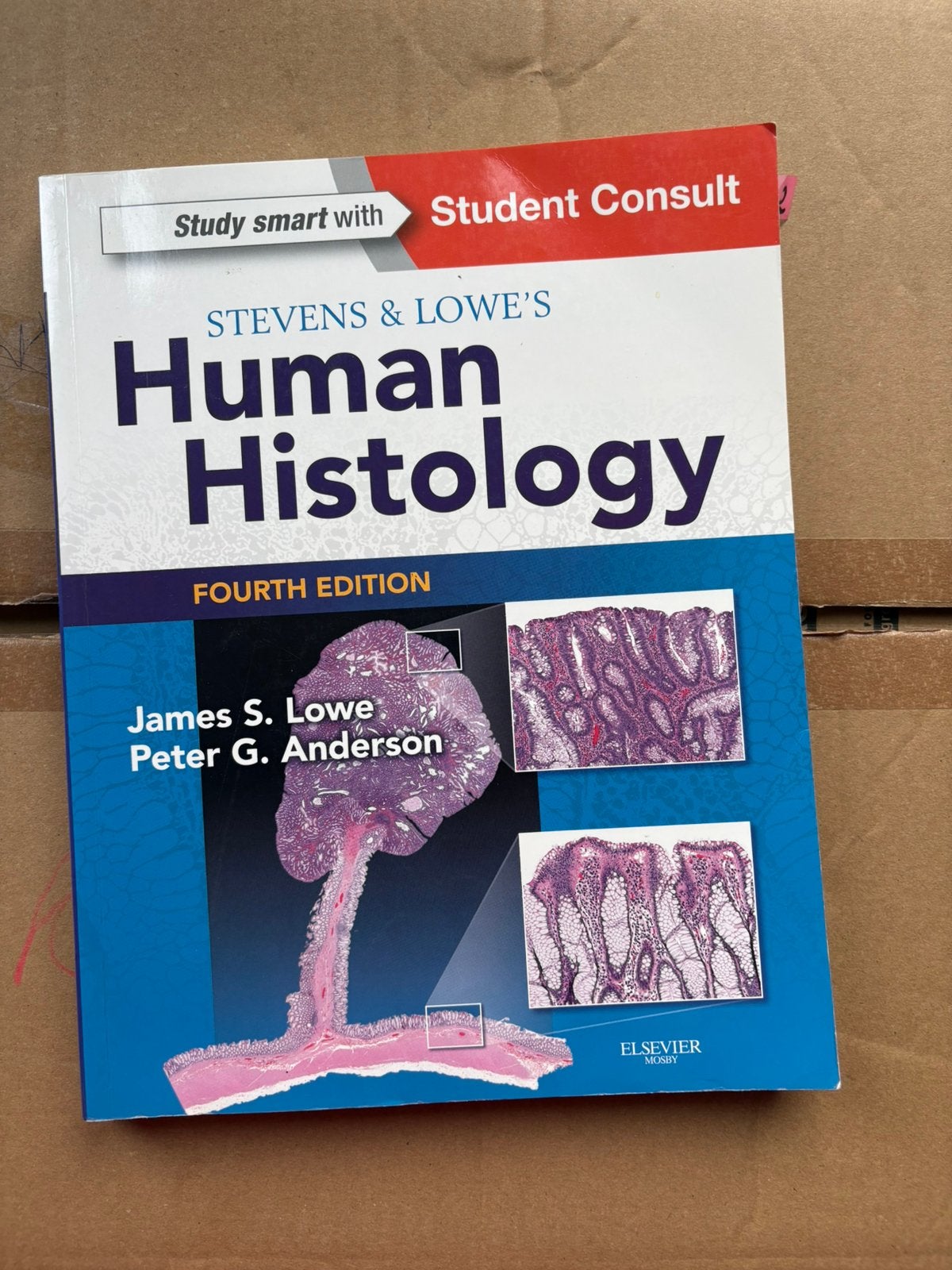 Stevens & Lowe's Human Histology 4th Edition, Enlèvement ou Envoi, Utilisé, Domaine spécialisé ou Industrie