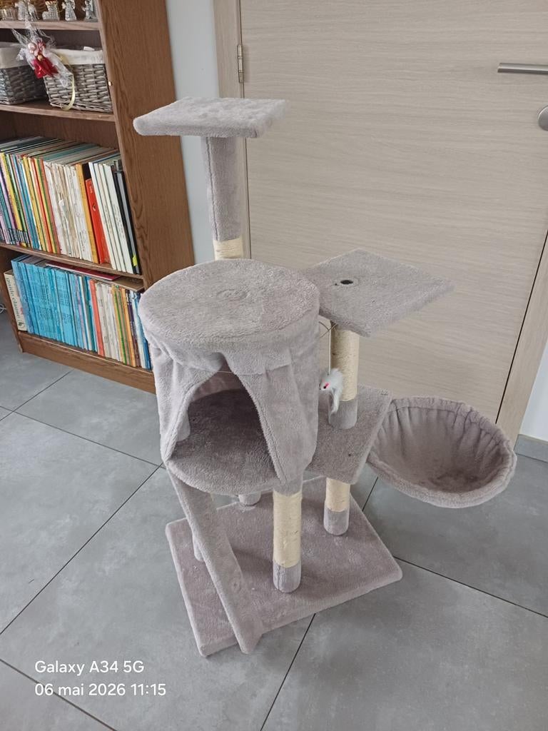 Arbre à chat, Enlèvement