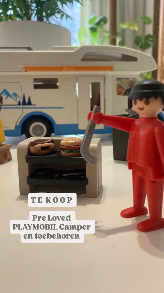 PLAYMOBIL, Ophalen of Verzenden