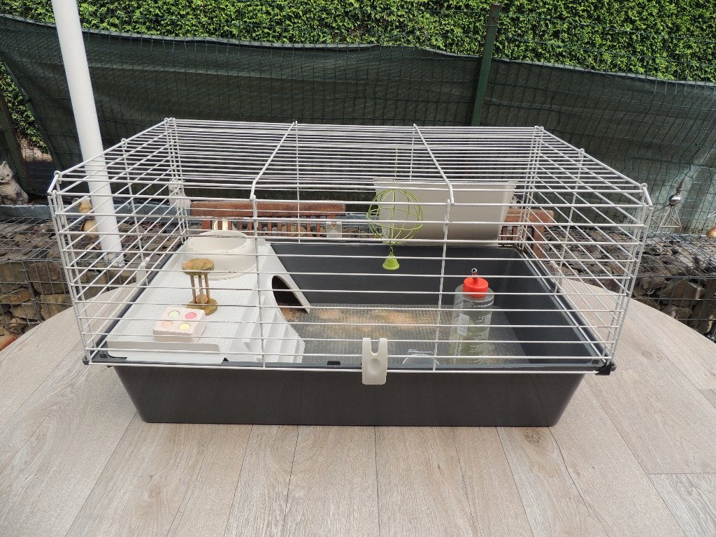 Cage pour cochon d'inde ou lapin nain, Animaux & Accessoires, Rongeurs & Lapins | Cages & Clapiers, Enlèvement, Cage, Lapin