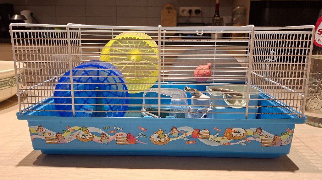 Cavia kooi, Animaux & Accessoires, Moins de 60 cm, Cage, Utilisé, Cobaye