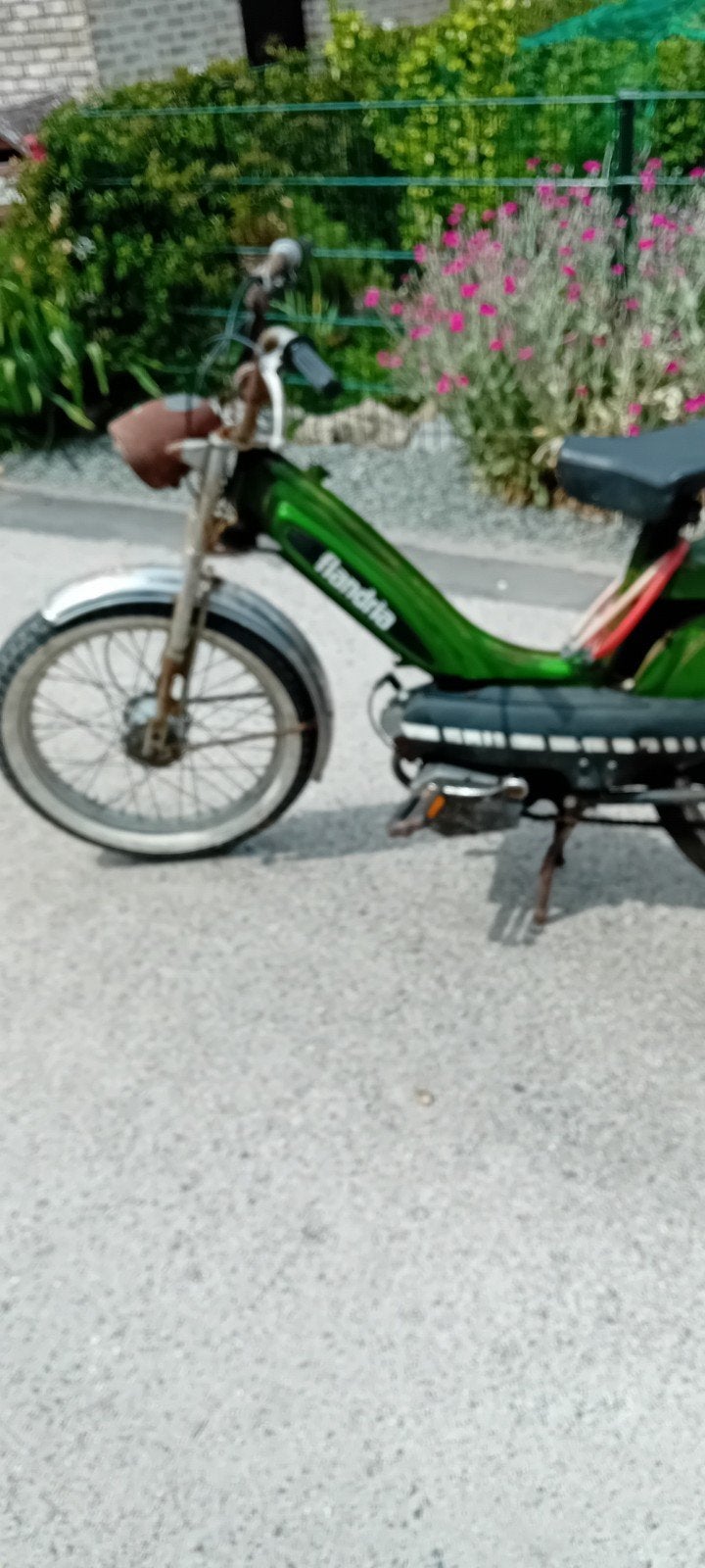 Flandria penny, Fietsen en Brommers, Brommers | Oldtimers, Ophalen