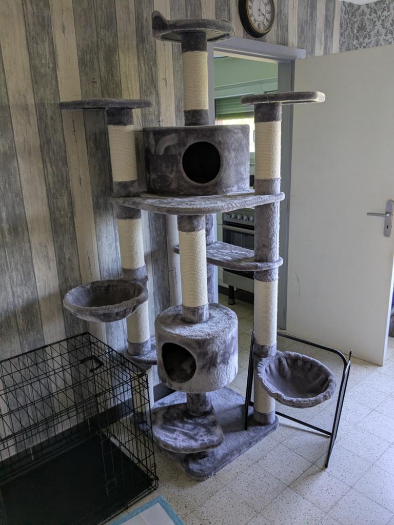 Kattenpaal groot hoog, Ophalen