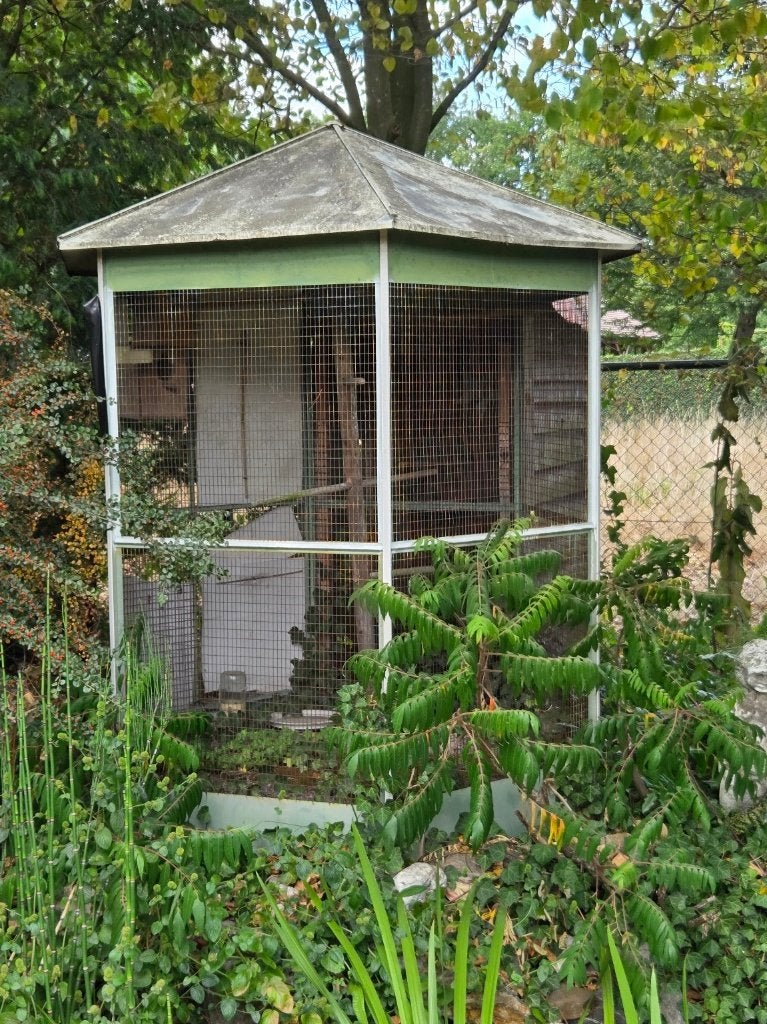 6-hoekige volière, Dieren en Toebehoren, Ophalen, Gebruikt, Aluminium, Volière