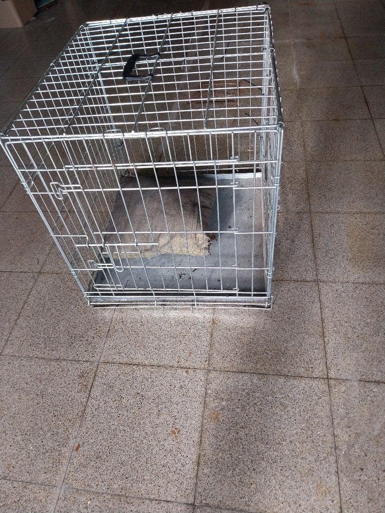 honden bench, Ophalen, Gebruikt