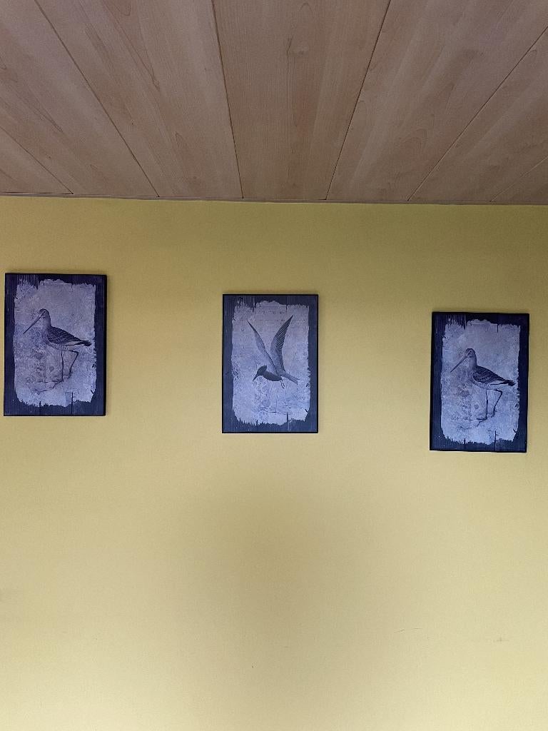 3 kaders met vogels, Antiek en Kunst, Ophalen