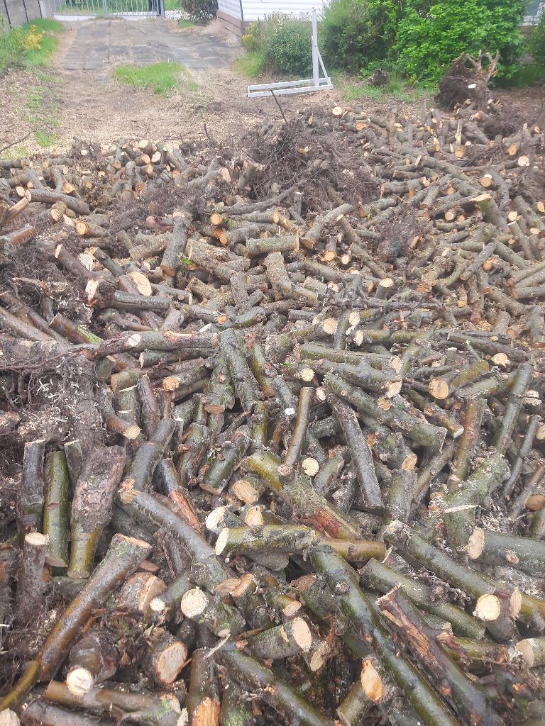 brandhout appel gezaagd, Tuin en Terras, Ophalen, Nieuw
