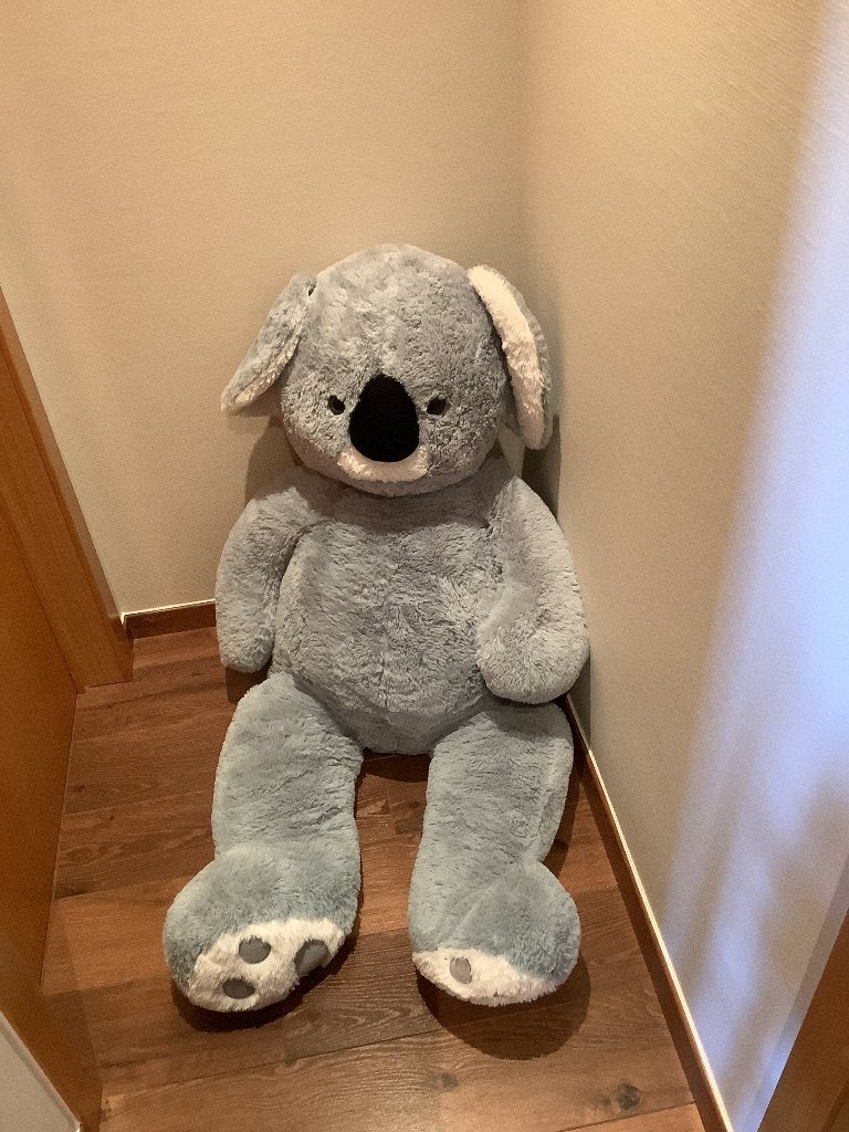 Knuffel Koala Nico Toy, Ophalen, Overige karakters, Overige typen, Grijs