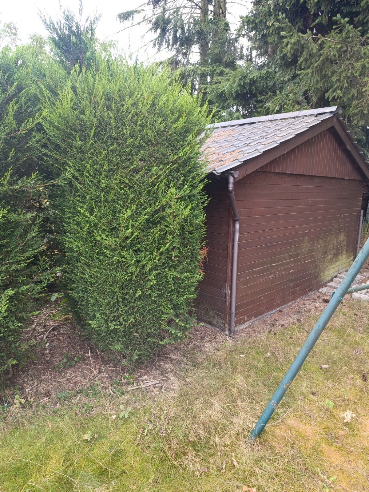 laisse pour chien avec abri de jardin, 200 à 400 cm, Enlèvement, Utilisé, 500 cm ou plus