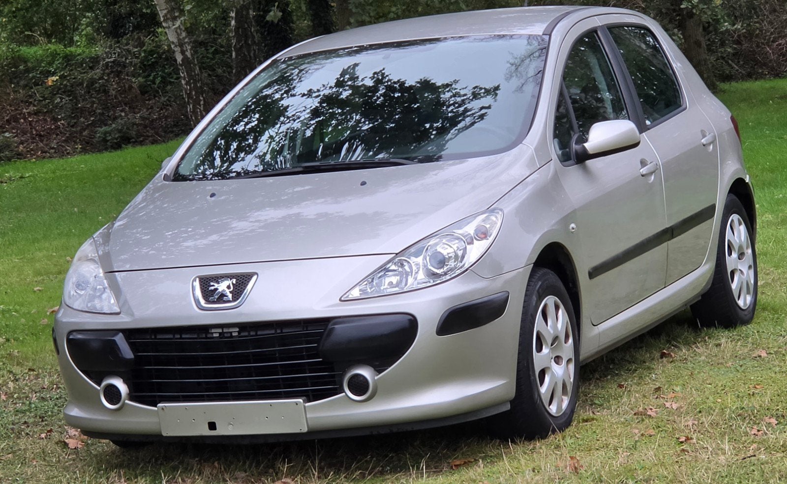 peugeot 307 1.4 benzıne bj 2006 (aırco) 120000 km gekeurd, Autos, Achat, https://public.car-pass.be/vhr/72e924cc-6fac-4296-9108-b5249f7337d6