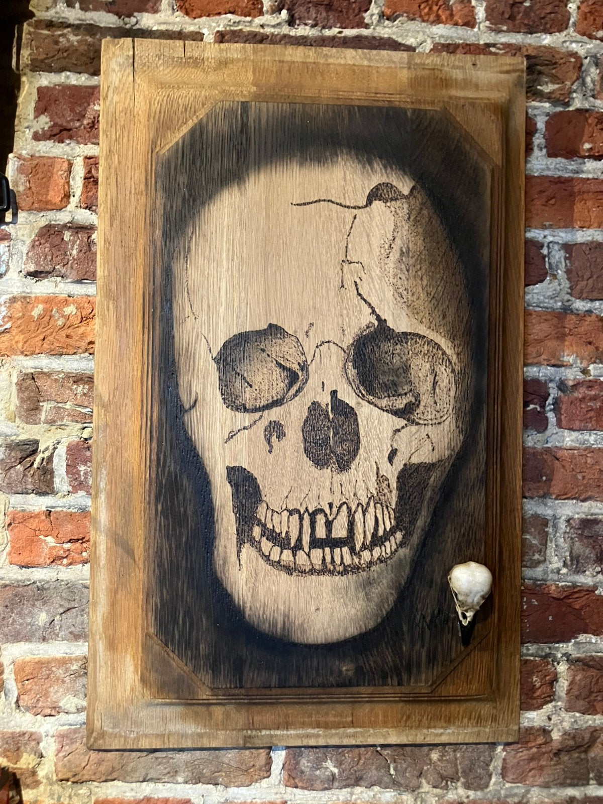 Dark Art : Schedel - Skull, Ophalen