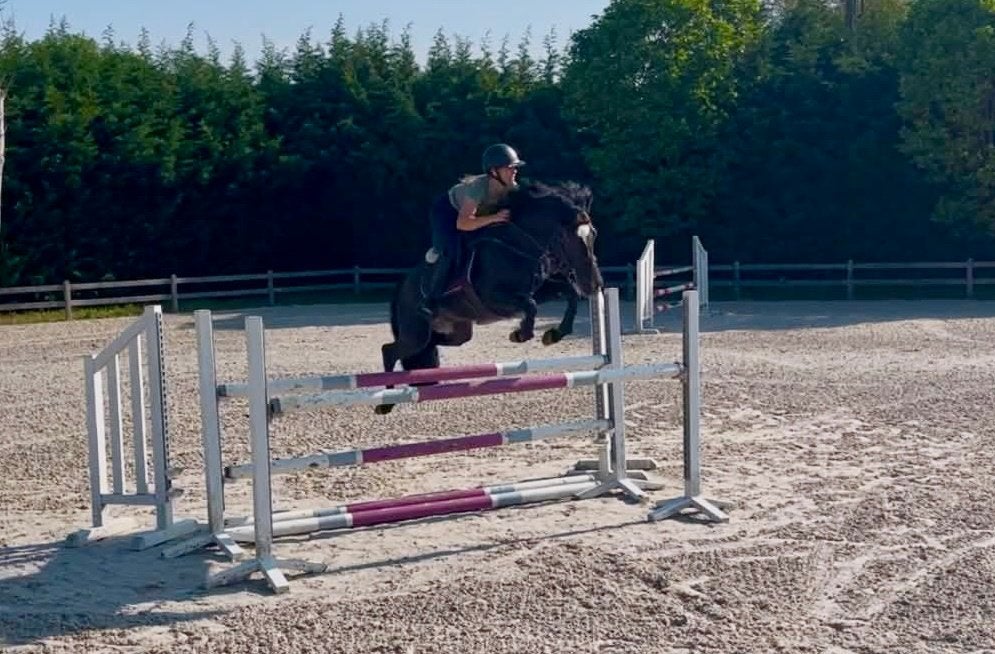 Le rêve de Cupidon à poney Stud, Étalon