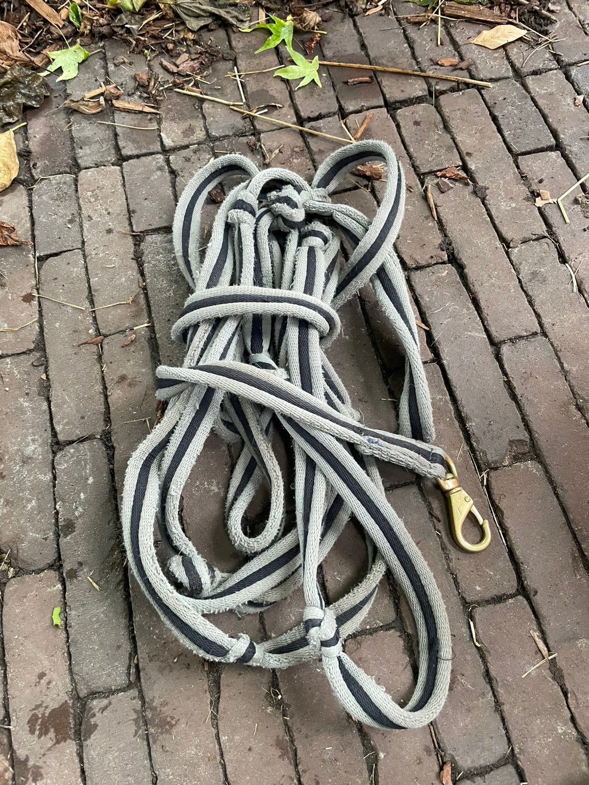 Longeertouw, Ophalen of Verzenden, Gebruikt, Longeerhulpteugel