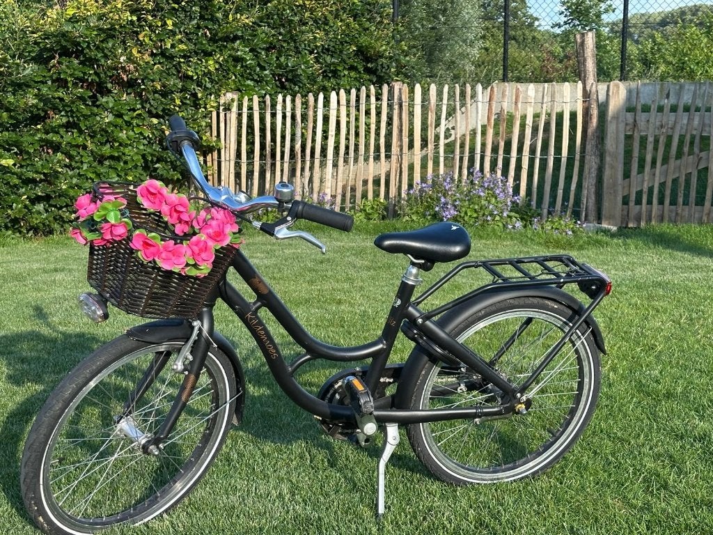 Vélo Kildemoes pour filles 20 pouces, Vélos & Vélomoteurs, Vélos | Filles, Comme neuf, 20 pouces, Frein à main, Vitesses, Frein à rétropédalage