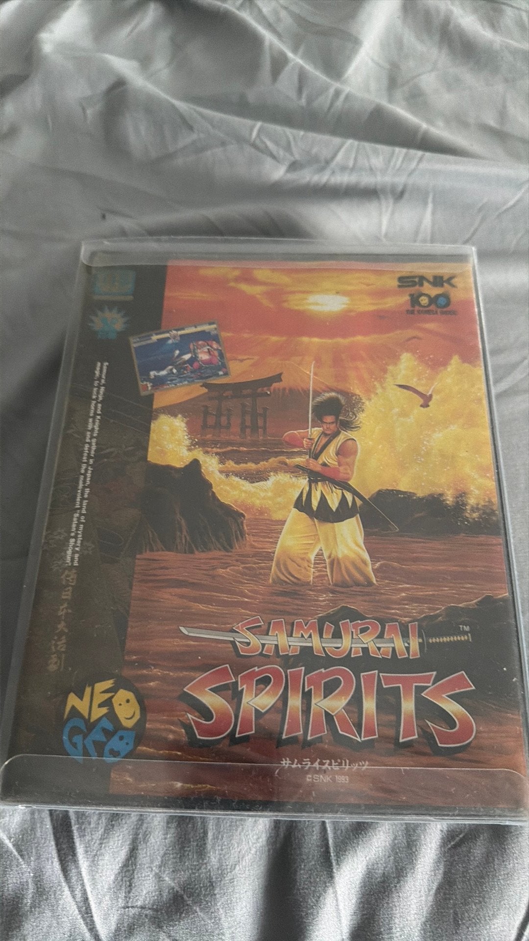 Jeu Neo Geo Aes, Enlèvement, Utilisé, Combat