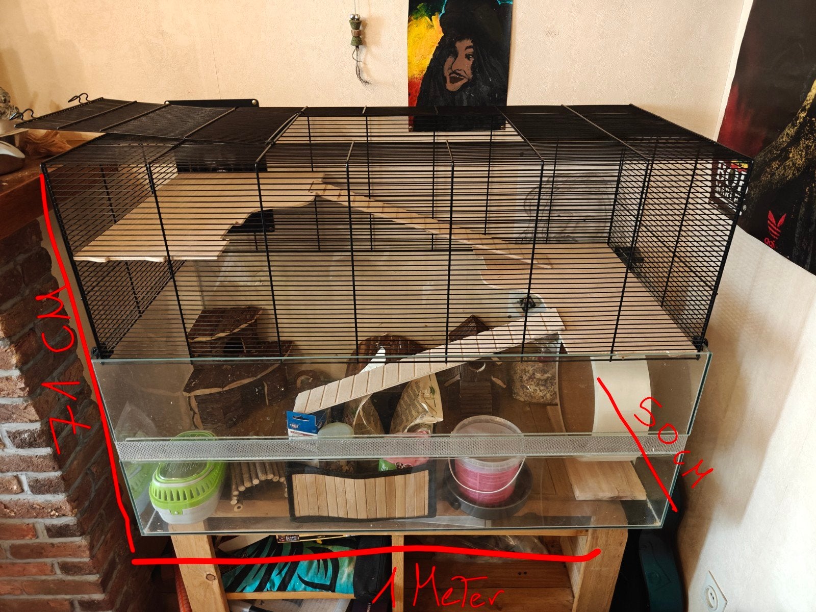 Hamster kooi, Dieren en Toebehoren, Ophalen of Verzenden, Kooi, Hamster