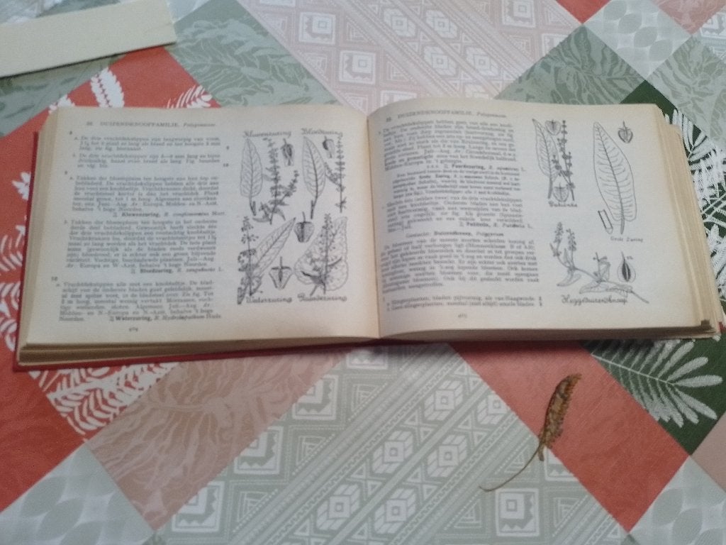 boek, Ophalen