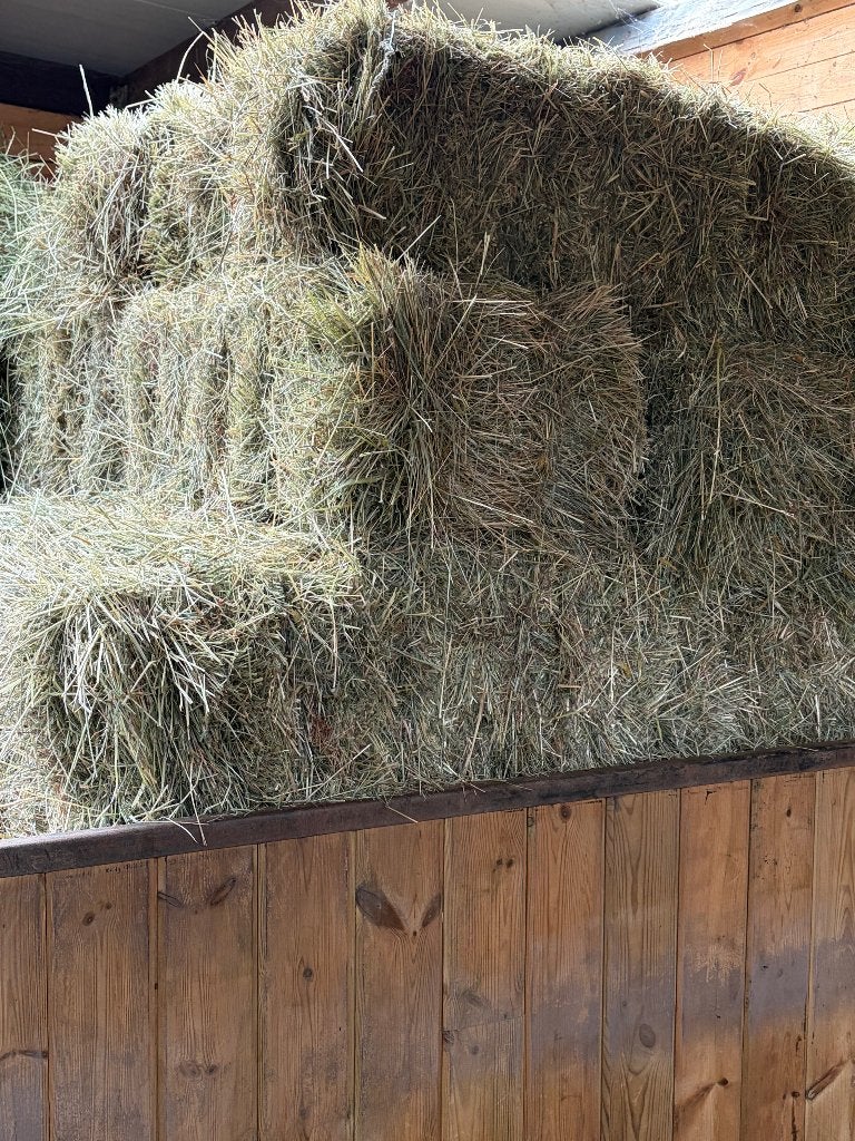 hooi, Enlèvement, Autres espèces