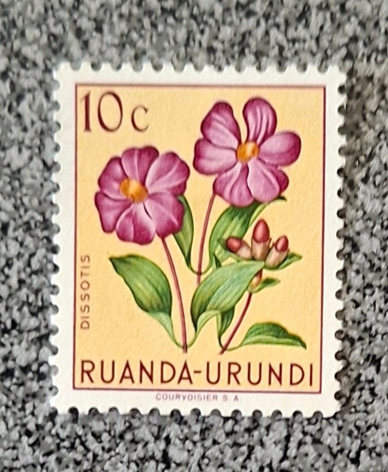 Timbre Ruanda-Urundi OBP 177**, Enlèvement ou Envoi, Non oblitéré