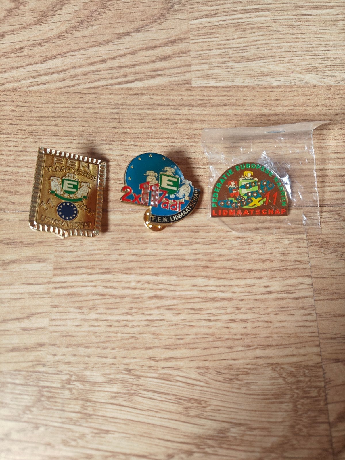 carnaval pins fen, Collections, Enlèvement ou Envoi