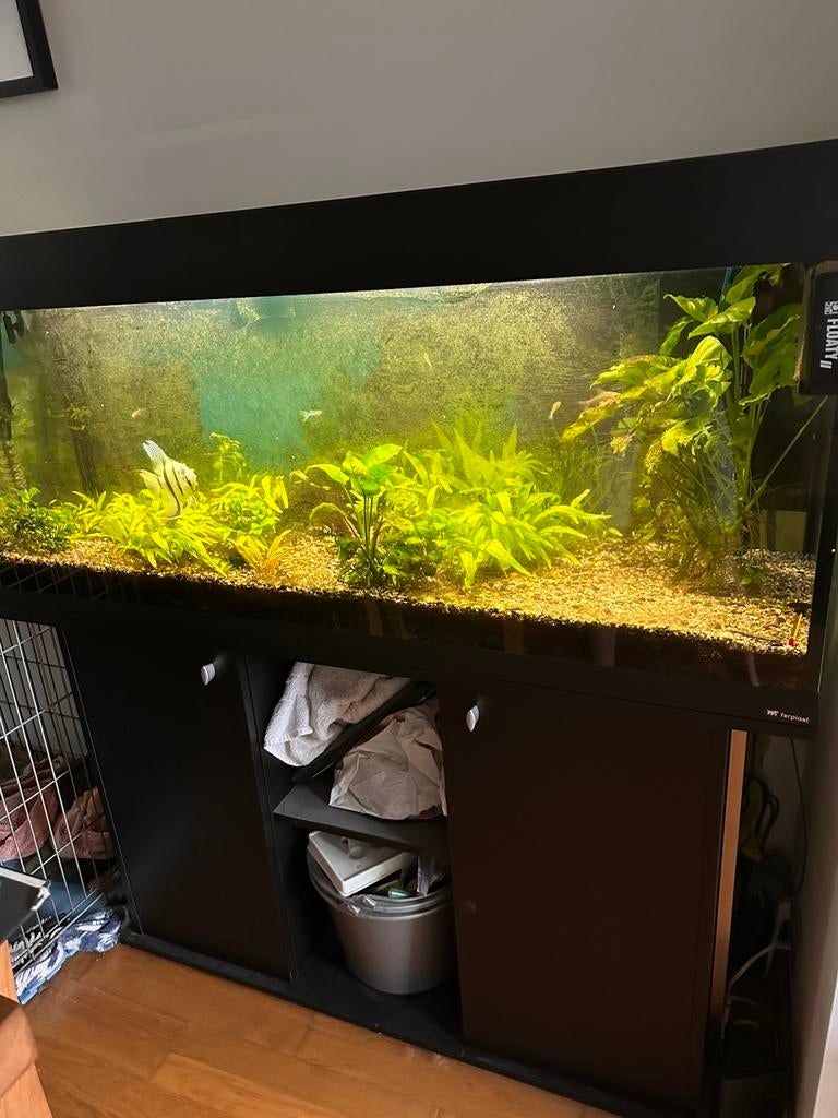 Aquarium ferplast met planten en vissen, Dieren en Toebehoren, Ophalen, Inclusief vissen, Zo goed als nieuw, JBL