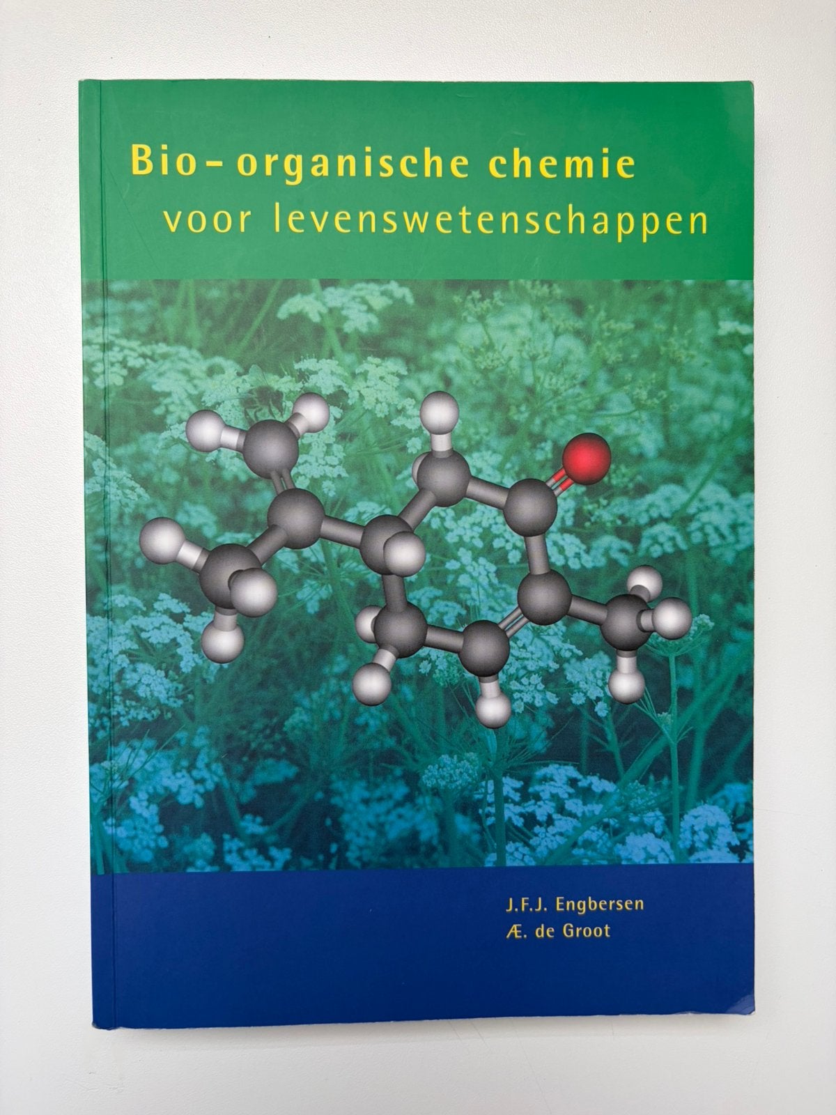 Bio-organische chemie voor levenswetenschappen, Boeken, Ophalen of Verzenden, Zo goed als nieuw, Hoger Onderwijs