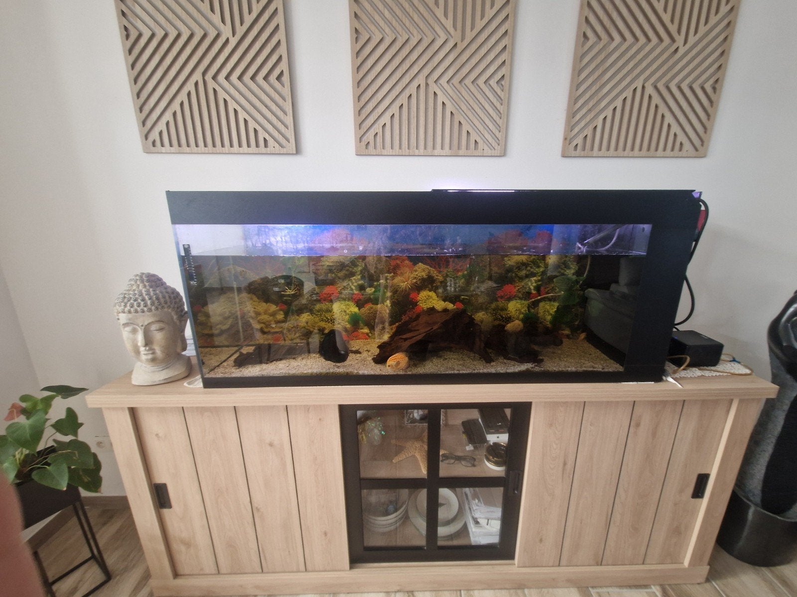 aqoirium, Animaux & Accessoires, Aquarium d'eau douce rempli, Comme neuf, Enlèvement, Accessoires inclus
