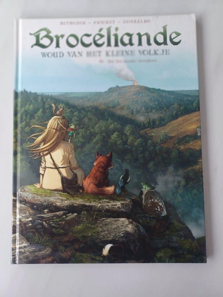 HC Broceliande 6. Het dal zonder terugkeer, Boeken, Eén stripboek, Ophalen of Verzenden, Zo goed als nieuw
