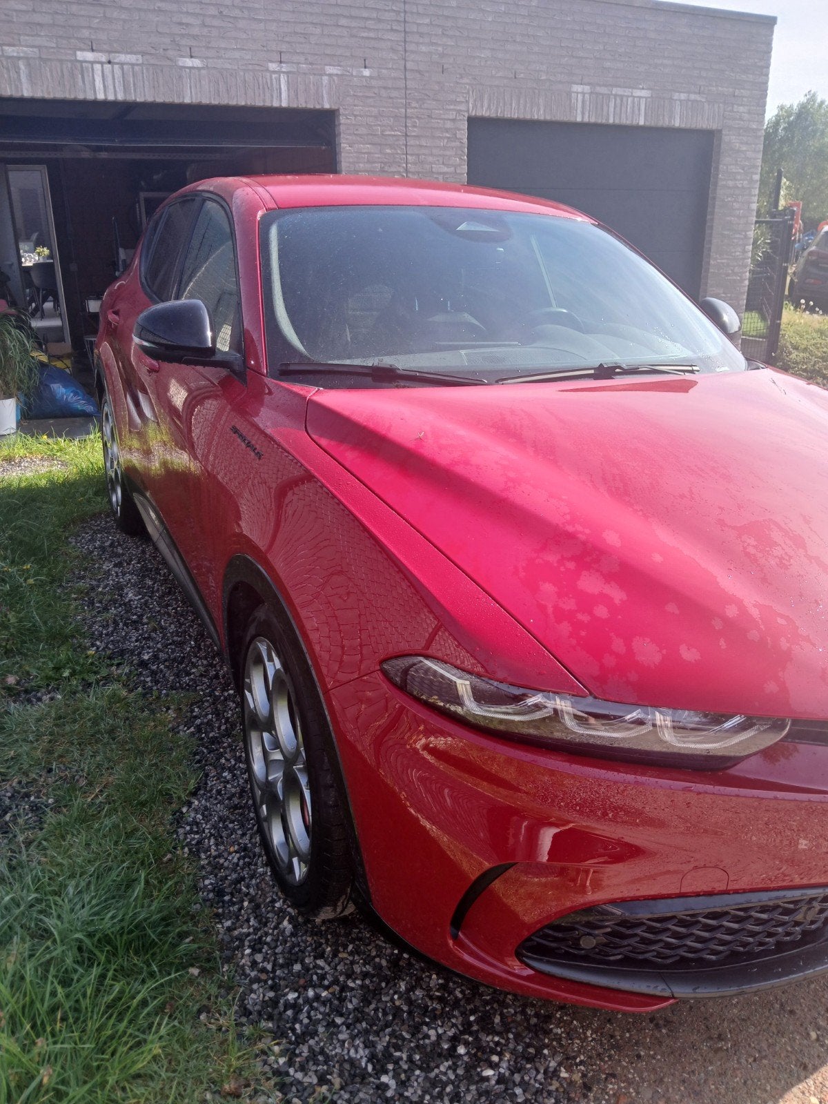 Édition spéciale Alfa Romeo, Autos, Alfa Romeo, Particulier, Achat, Tonale