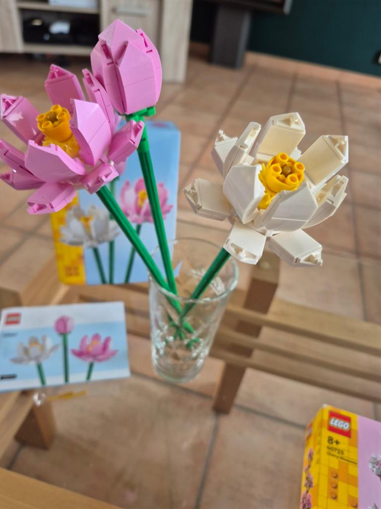 Lego lotus flower, Enlèvement