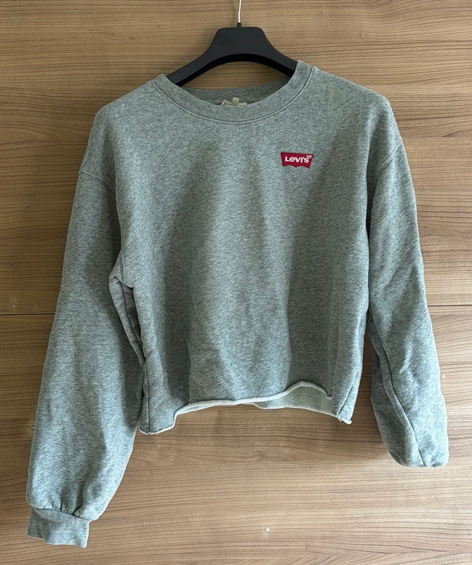 Levis maat L, Kleding | Dames, Truien en Vesten, Ophalen of Verzenden, Zo goed als nieuw, Maat 42/44 (L)
