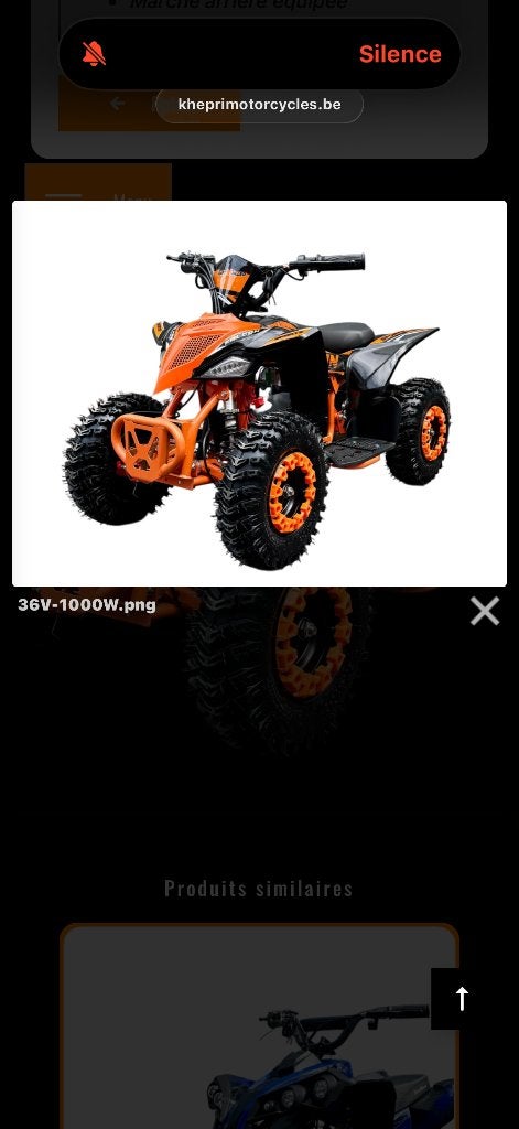 Mini QUAD électrique enfant 1000 W 36V sur 3 batteries, Vélos & Vélomoteurs, Mini Bikes, Midi Bikes & Pit Bikes, Comme neuf, Enlèvement
