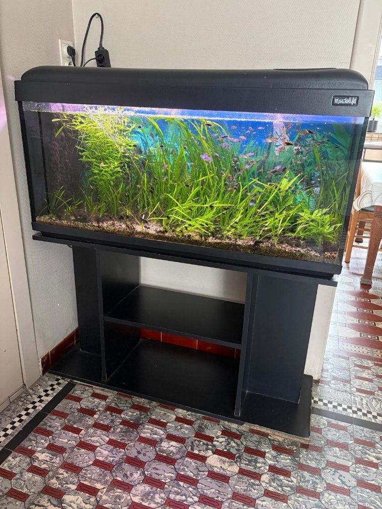 mooi compleet aquarium, Dieren en Toebehoren, Ophalen, Gebruikt, Inclusief planten, Aquariummeubel