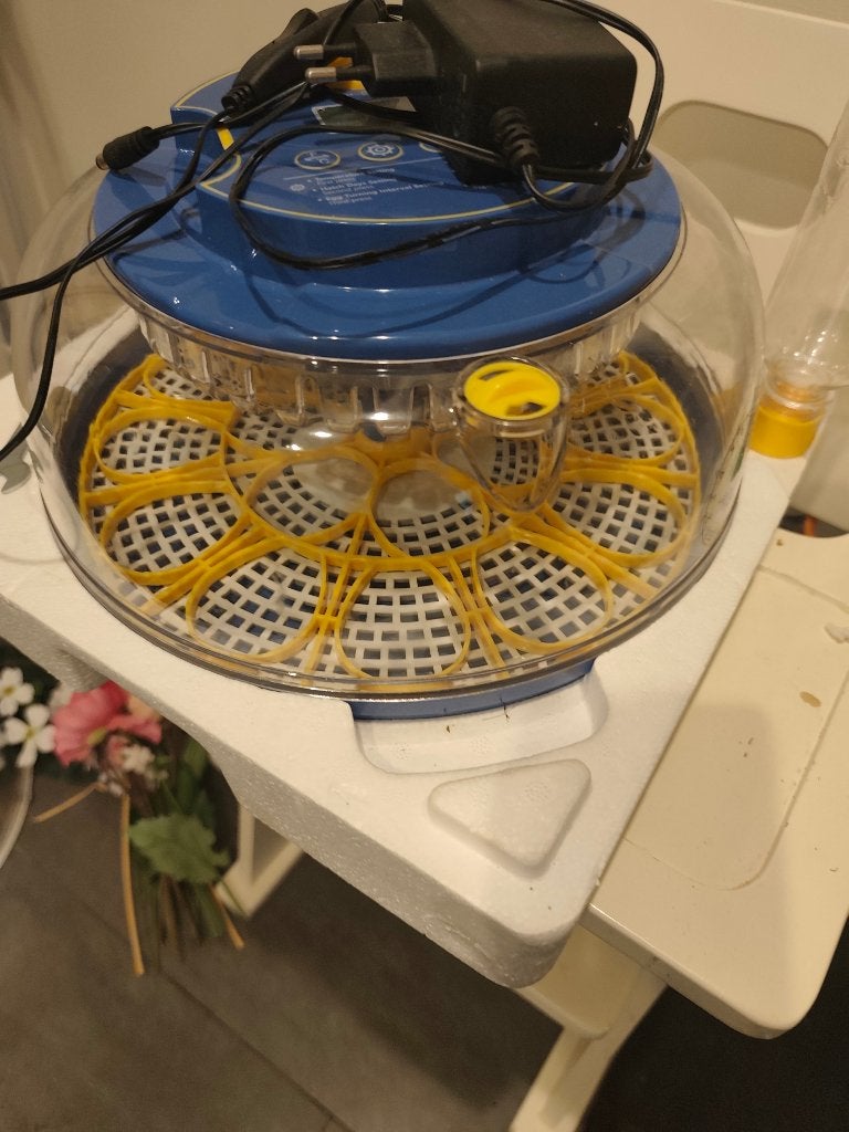 Broedmachine, Dieren en Toebehoren, Pluimvee | Toebehoren, Ophalen, Broedmachine