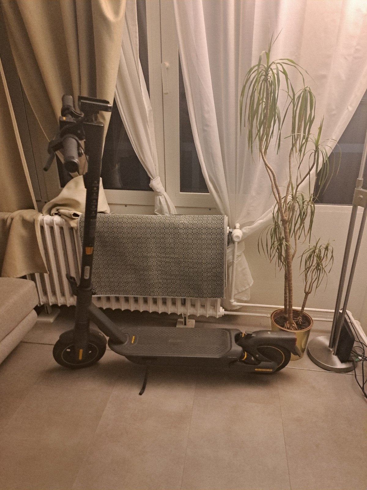 Ninebot g2 max