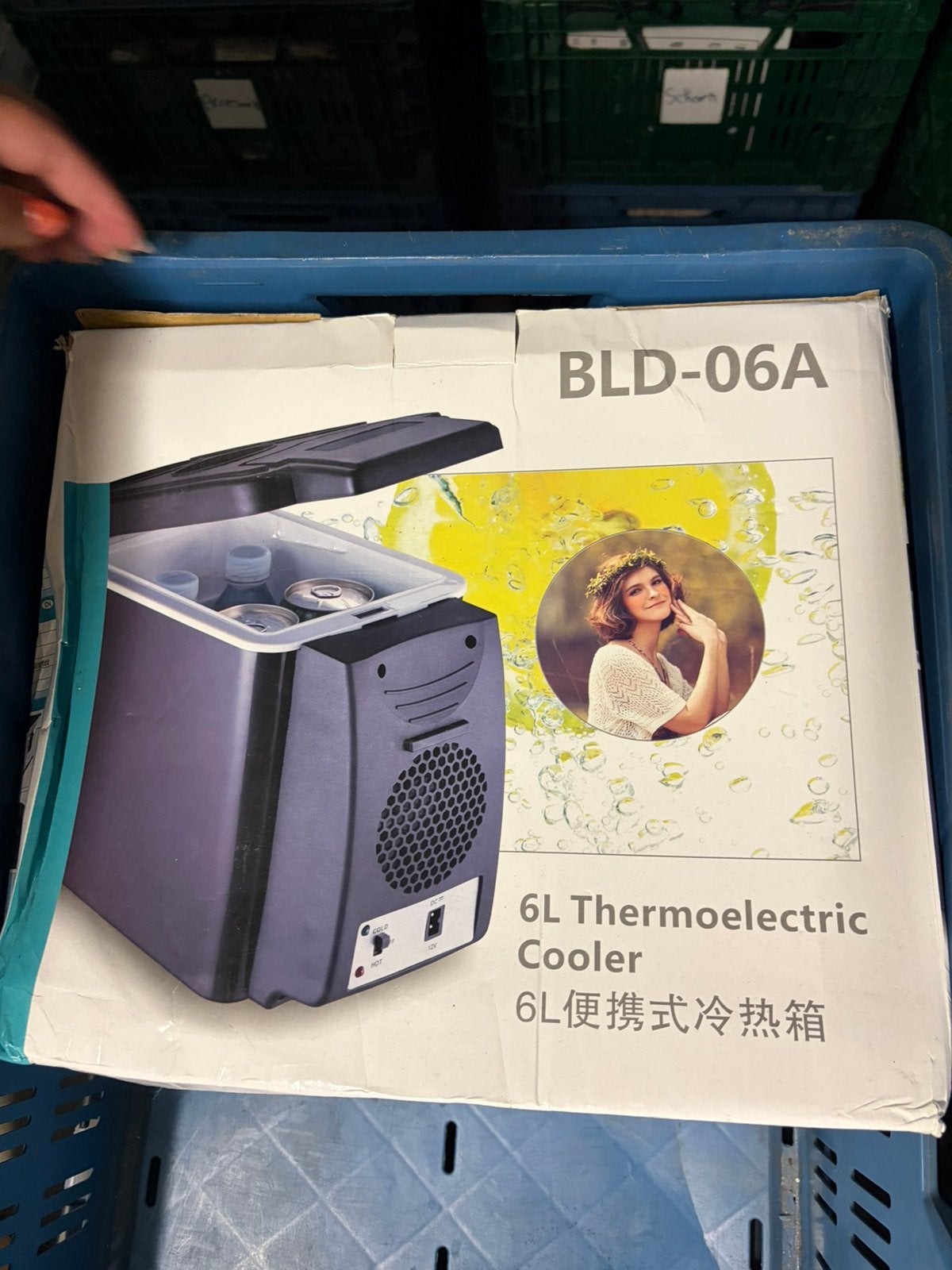 BLD-06A 6L thermo-elektrische mini-koelbox (koelen/verwarmen, Ophalen, Zo goed als nieuw
