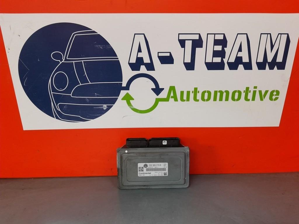 CALCULATEUR MOTEUR ECU Volkswagen Polo V (6R) (03E906019B), Utilisé, Volkswagen