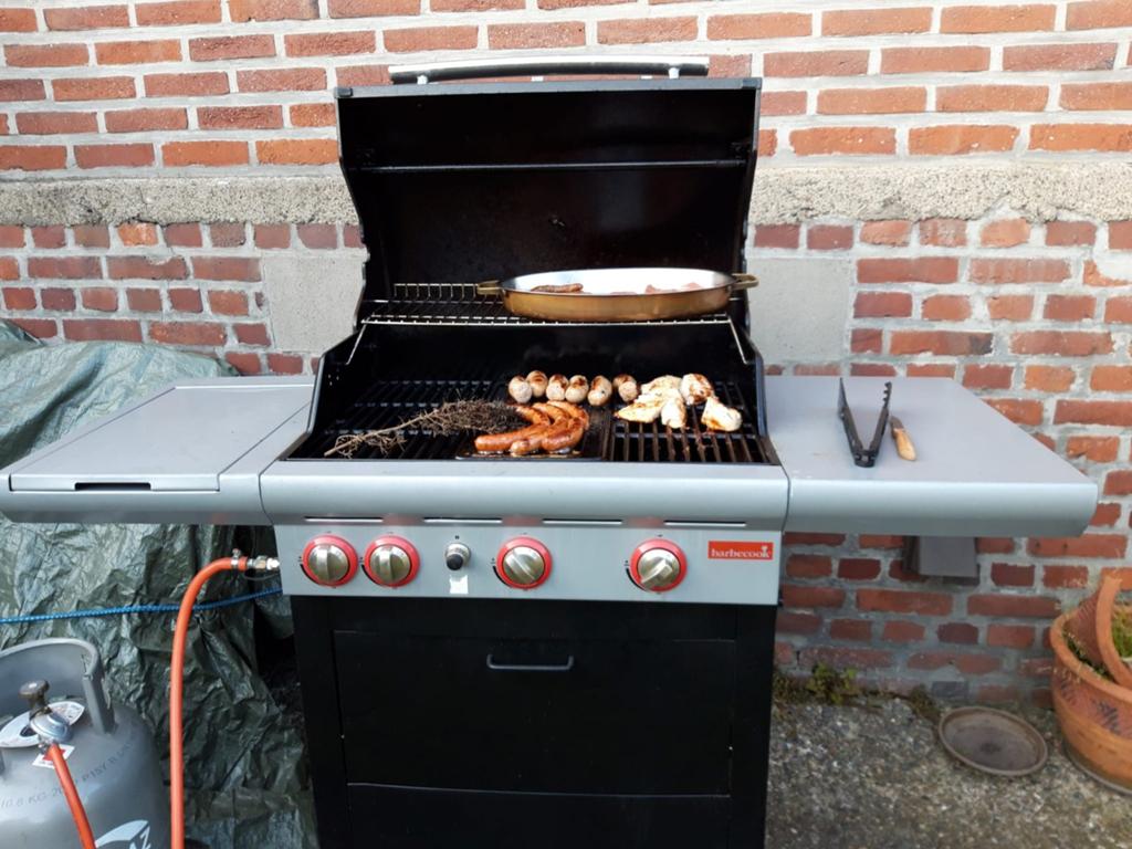Barbecue, Jardin & Terrasse