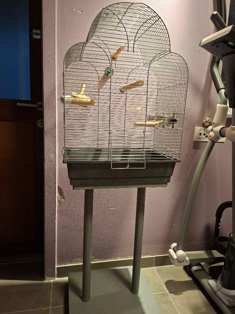 Vogelkooi met staander, Dieren en Toebehoren, Ophalen, Gebruikt, Vogelkooi