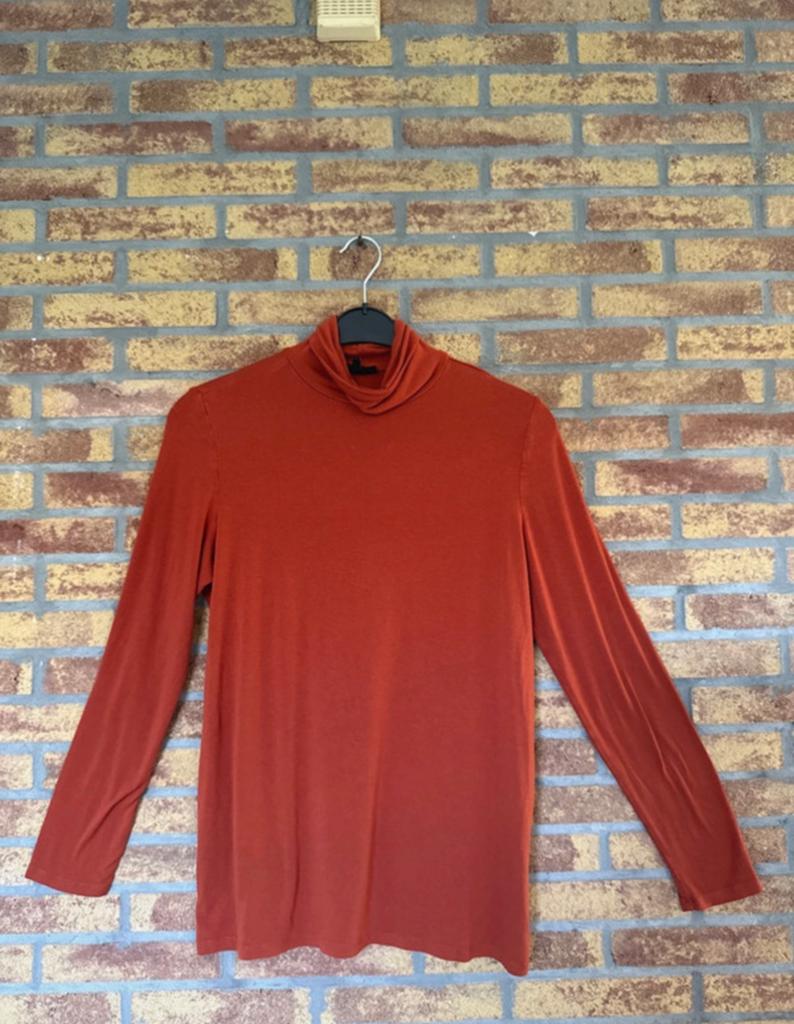 Shirt met rolkraag, Kleding | Dames, T-shirts, Ophalen of Verzenden, Zo goed als nieuw