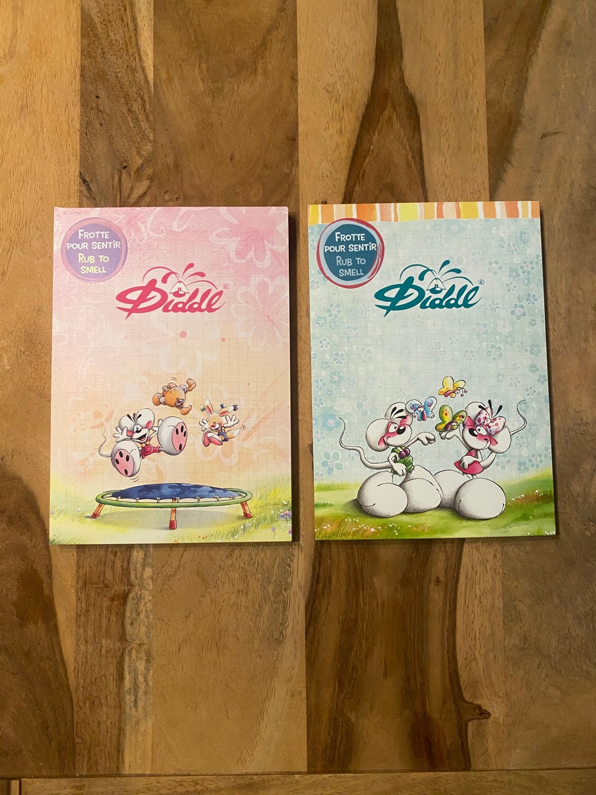Lot de 2 carnets Diddl, Collections, Enlèvement ou Envoi, Diddl, Comme neuf